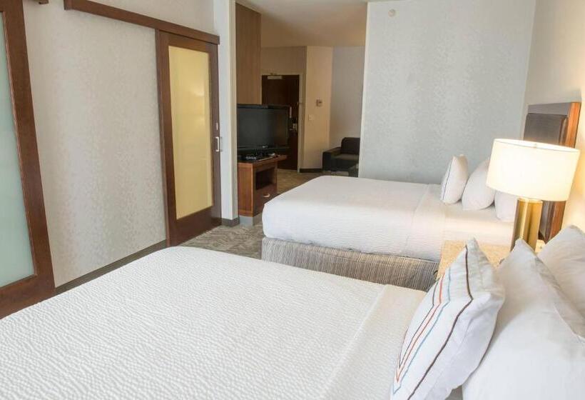 חדר סטודיו סטנדרד, Springhill Suites By Marriott Logan