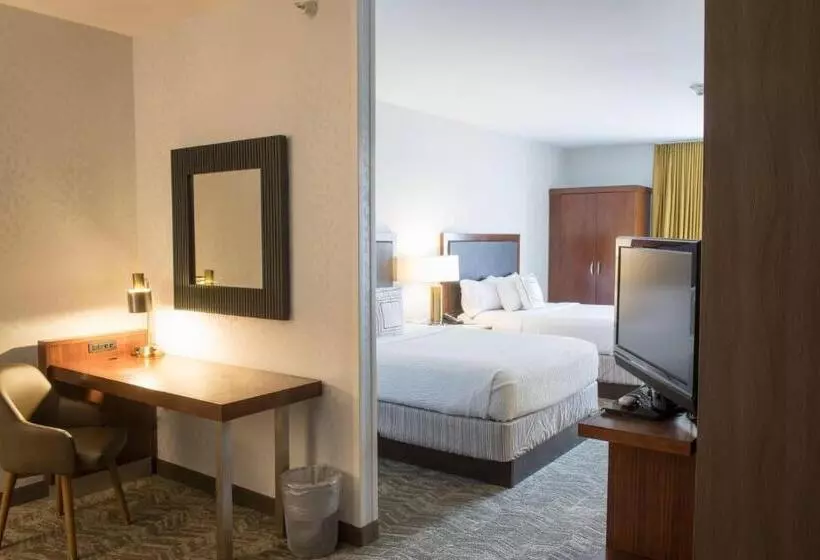 スタンダードスタジオ, Springhill Suites By Marriott Logan