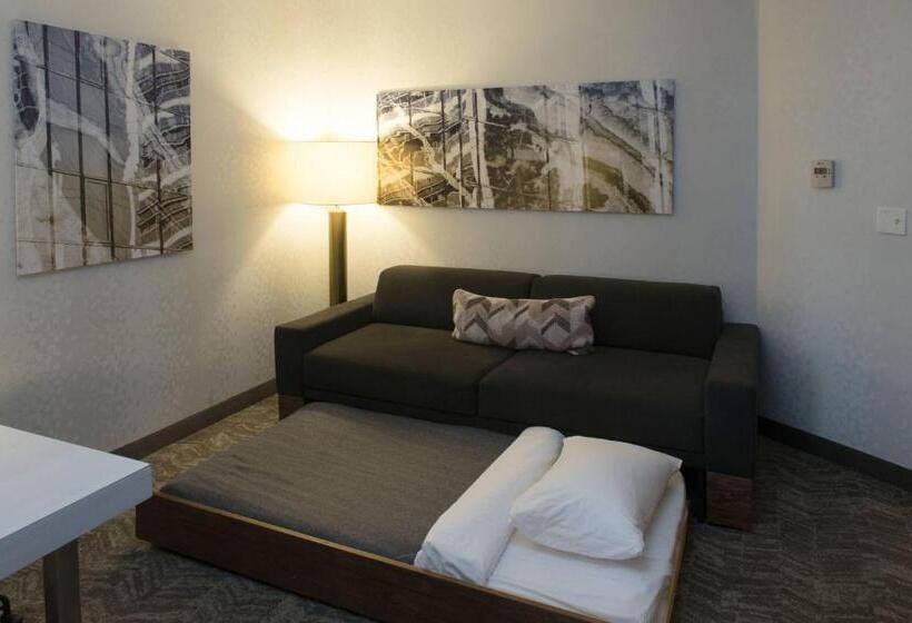 סטודיו סטנדרט, מיטה זוגית, Springhill Suites By Marriott Logan