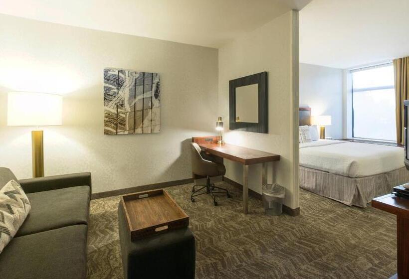 Студио Стандарт Кровать Кинг, Springhill Suites By Marriott Logan