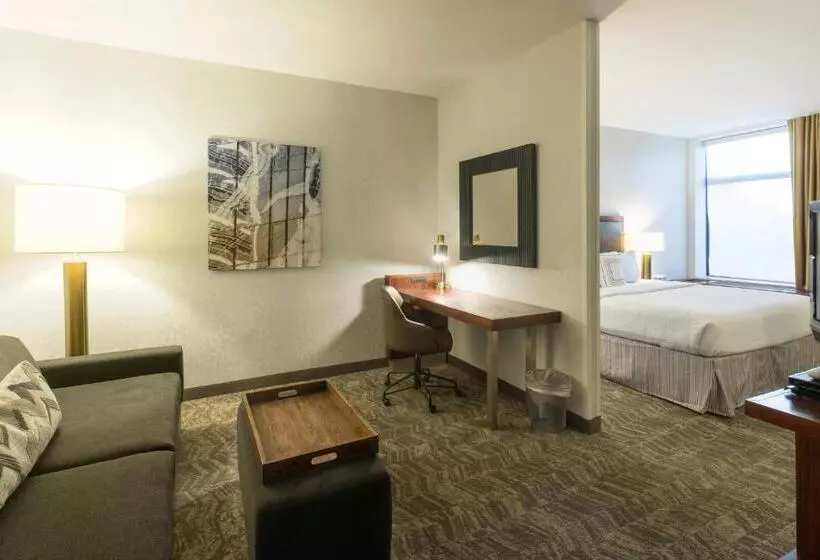 キングサイドベッドのスタンダードワンルーム, Springhill Suites By Marriott Logan