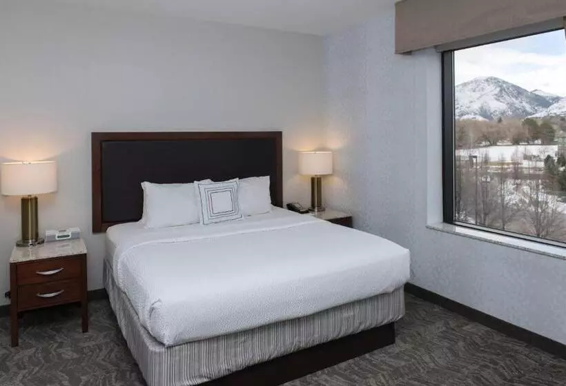 キングサイドベッドのスタンダードワンルーム, Springhill Suites By Marriott Logan