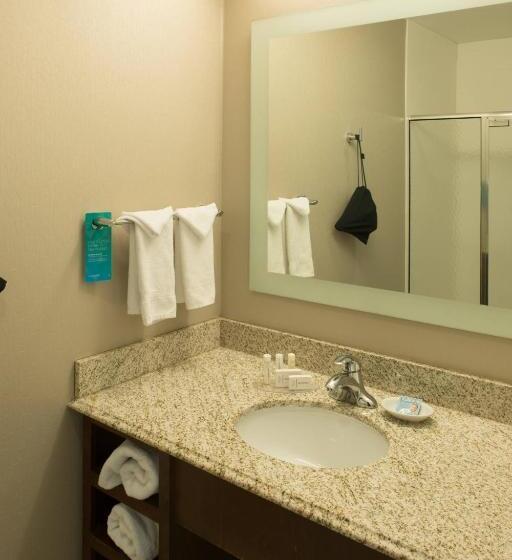 장애인을 위한 스위트, Springhill Suites By Marriott Logan