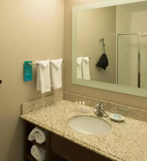 身障者適用スイートルーム, Springhill Suites By Marriott Logan