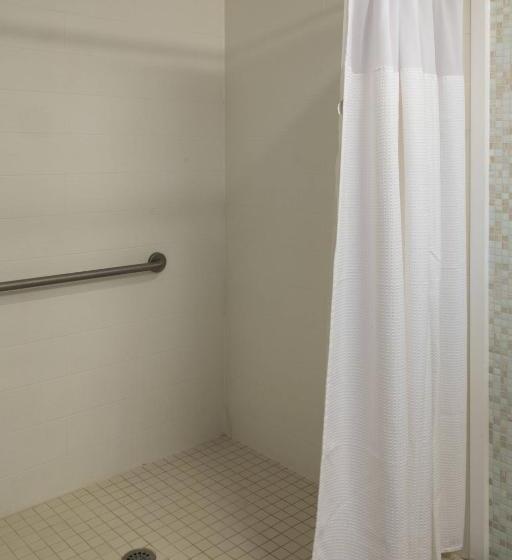 Люкс Адаптированный для Инвалидов, Springhill Suites By Marriott Logan