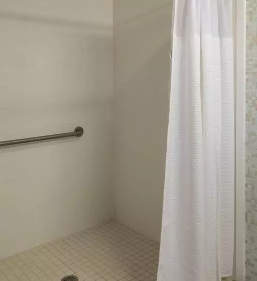 身障者適用スイートルーム, Springhill Suites By Marriott Logan