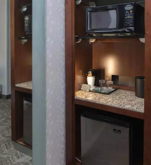 身障者適用スイートルーム, Springhill Suites By Marriott Logan