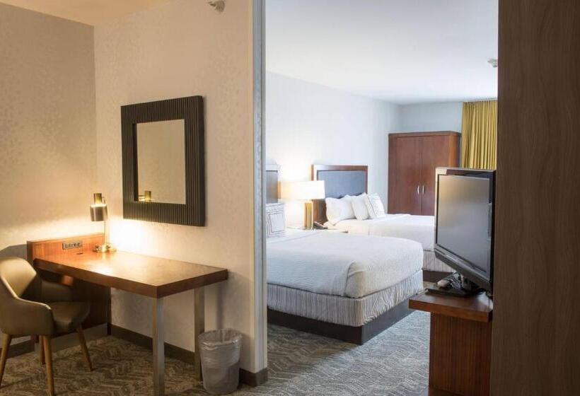 Люкс Адаптированный для Инвалидов, Springhill Suites By Marriott Logan