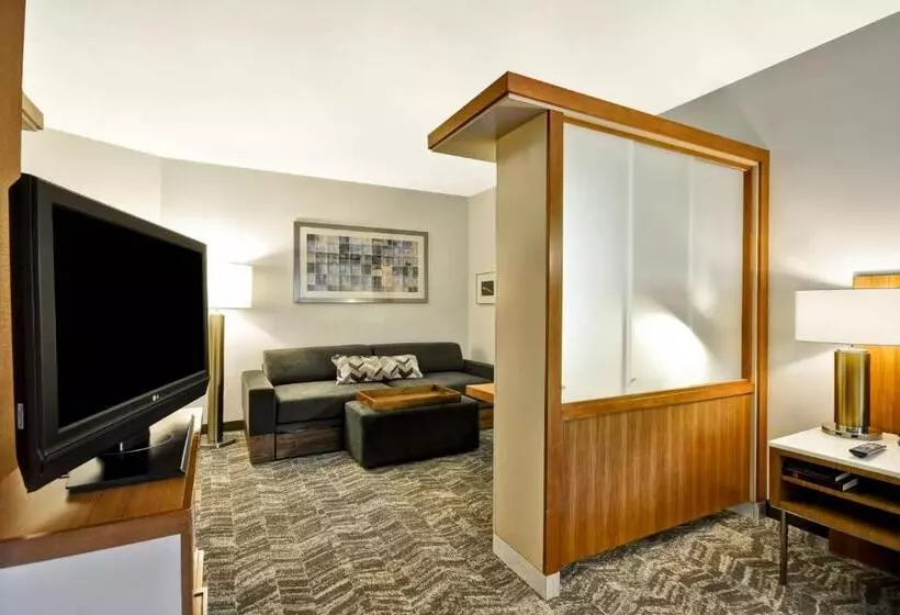 スタンダードスタジオ, Springhill Suites Tallahassee Central