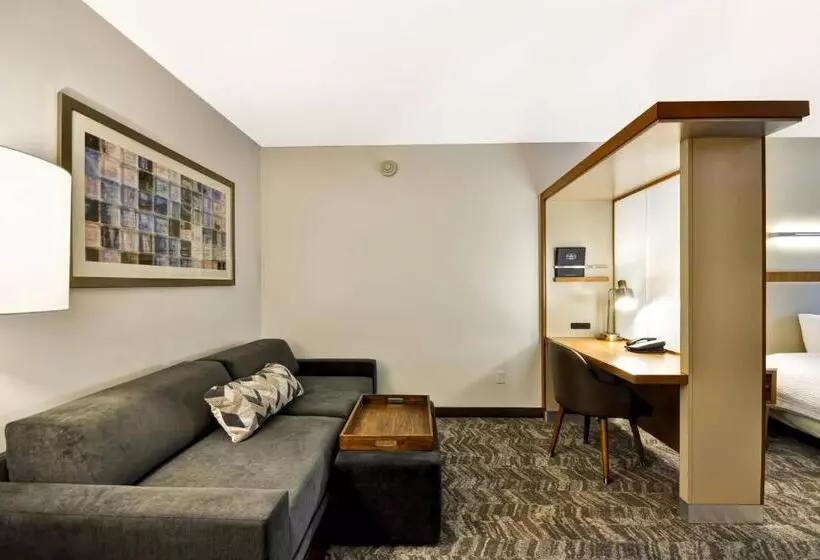 スタンダードスタジオ, Springhill Suites Tallahassee Central