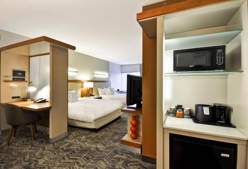 标准工作室, Springhill Suites Tallahassee Central