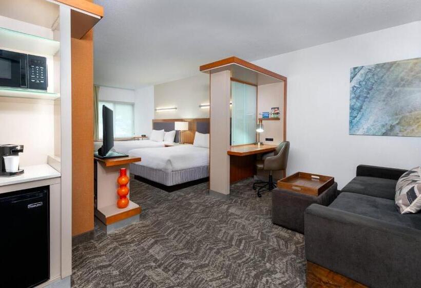 标准工作室, Springhill Suites Tallahassee Central