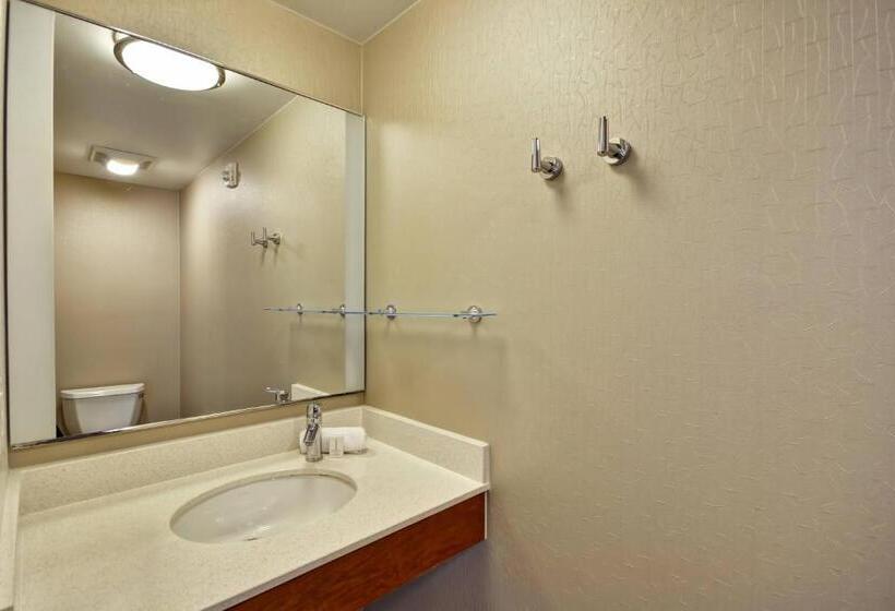 带大床的标准工作室, Springhill Suites Tallahassee Central