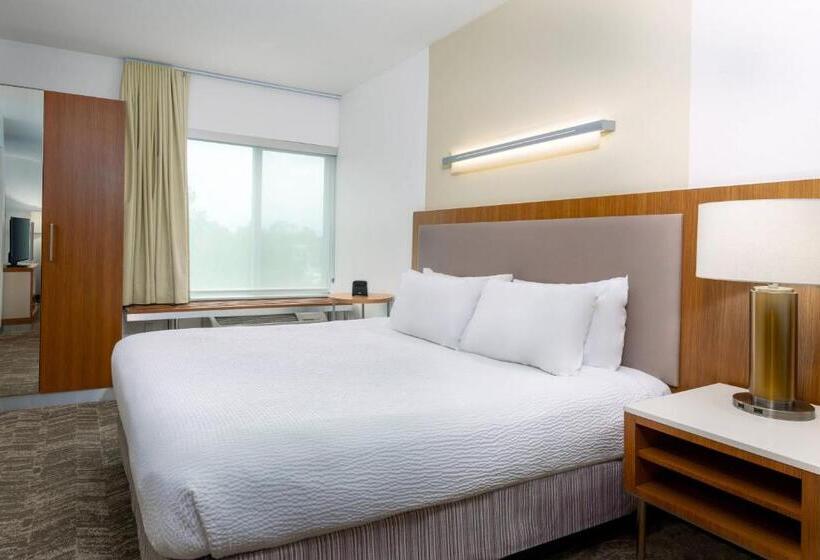 带大床的标准工作室, Springhill Suites Tallahassee Central