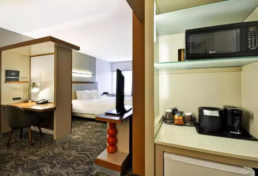 キングサイドベッドのスタンダードワンルーム, Springhill Suites Tallahassee Central