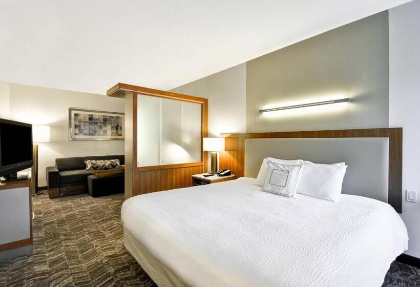 带大床的标准工作室, Springhill Suites Tallahassee Central