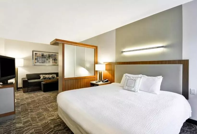 キングサイドベッドのスタンダードワンルーム, Springhill Suites Tallahassee Central