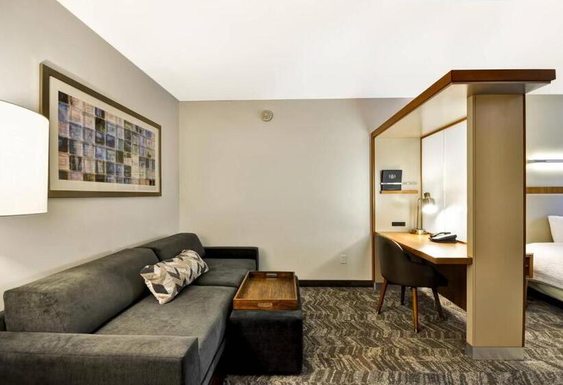 带大床的标准工作室, Springhill Suites Tallahassee Central