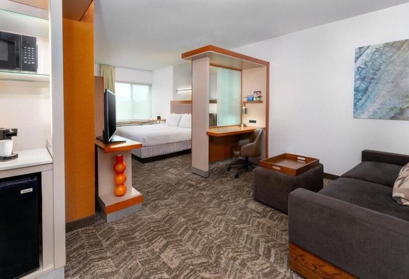 带大床的标准工作室, Springhill Suites Tallahassee Central