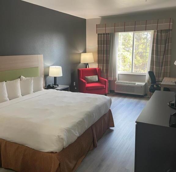 إستوديو قياسى سرير كينج, Country Inn & Suites By Radisson, College Station, Tx