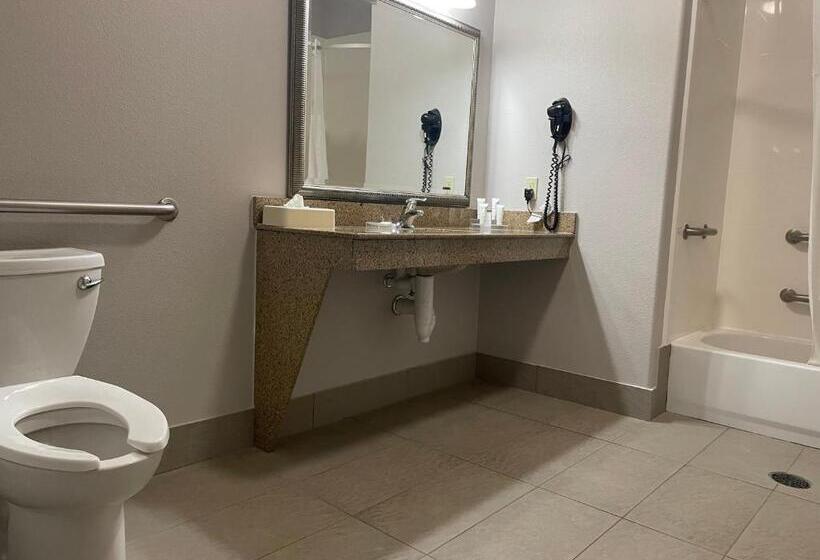 إستوديو قياسى سرير كينج, Country Inn & Suites By Radisson, College Station, Tx