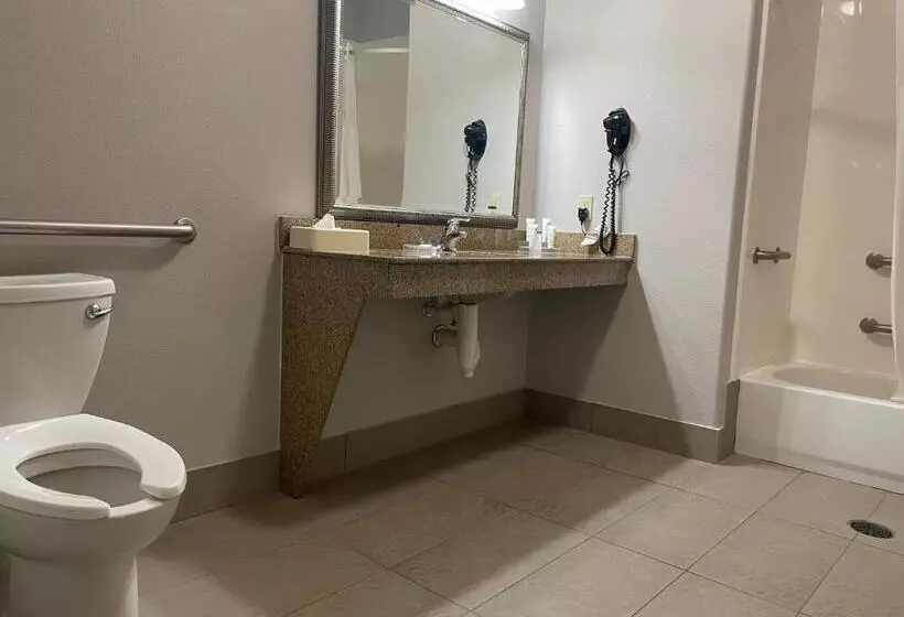 استودیو استاندارد با تخت کینگ, Country Inn & Suites By Radisson, College Station, Tx