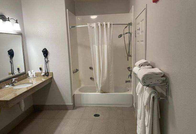 إستوديو قياسى سرير كينج, Country Inn & Suites By Radisson, College Station, Tx