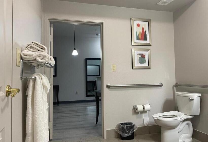 إستوديو قياسى سرير كينج, Country Inn & Suites By Radisson, College Station, Tx