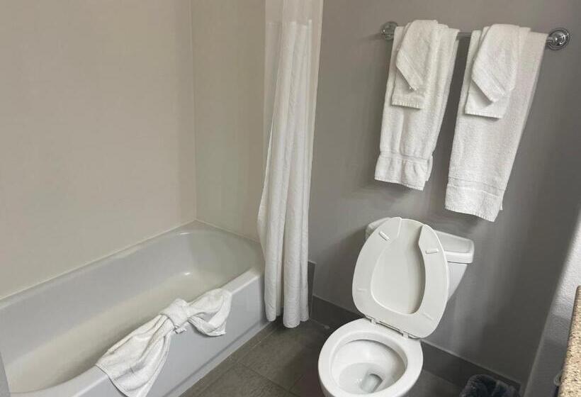 إستوديو قياسى سرير كينج, Country Inn & Suites By Radisson, College Station, Tx