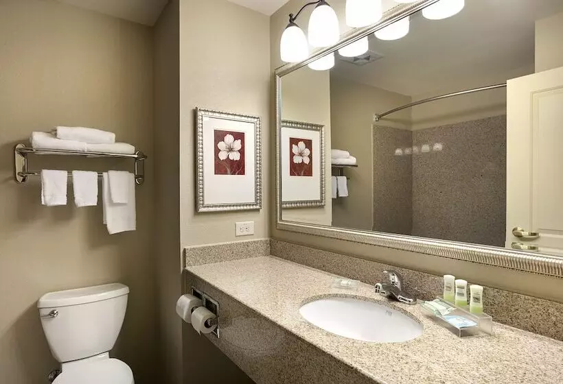 スイート, Country Inn & Suites By Radisson, Concord , Nc