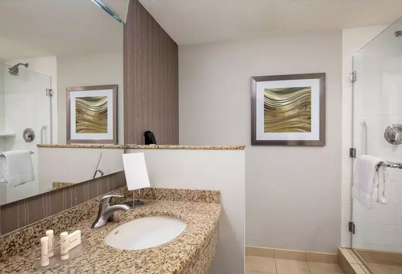 エクゼクティブスイート, Courtyard By Marriott Dallas Allen At Allen Event Center
