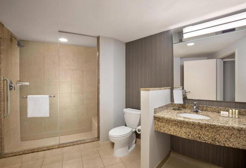 行政套房, Courtyard By Marriott Dallas Allen At Allen Event Center