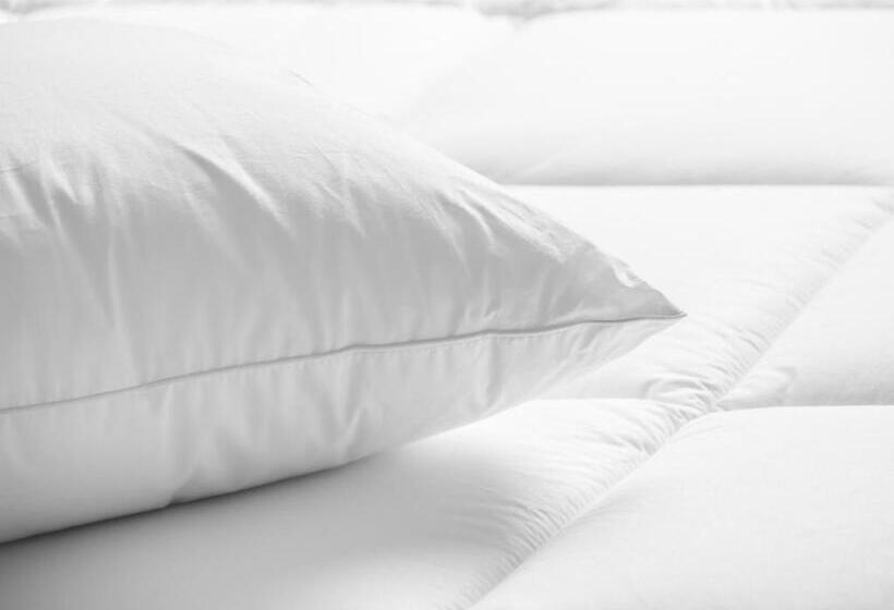 غرفة قياسية, Courtyard By Marriott Dallas Allen At Allen Event Center