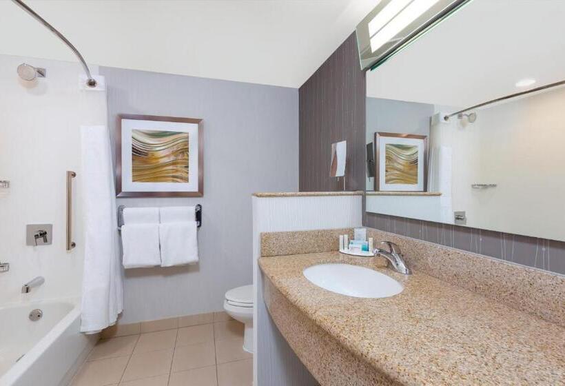 סוויטת ג'וניור מיטת קינג, Courtyard By Marriott Dallas Allen At Allen Event Center