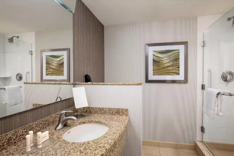 キングサイズベッドのスタンダードルーム, Courtyard By Marriott Dallas Allen At Allen Event Center