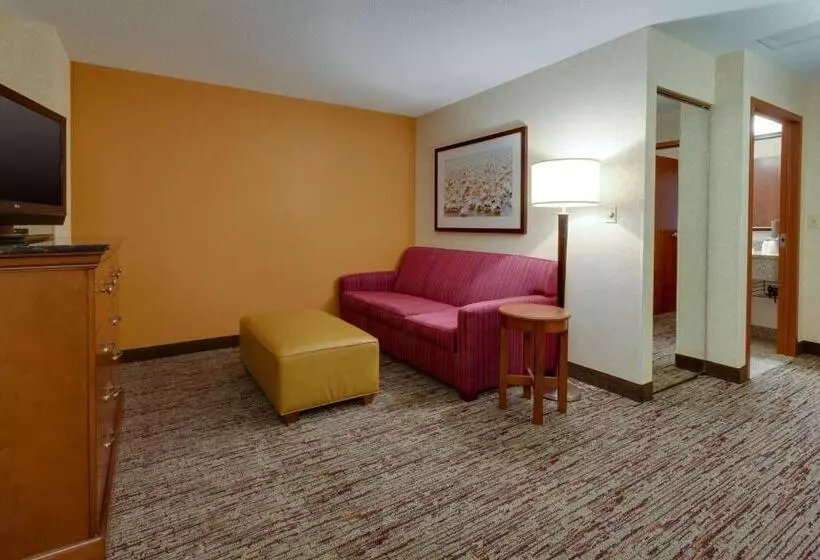 キングサイズベッドのスーペリアルーム, Drury Inn & Suites Baton Rouge
