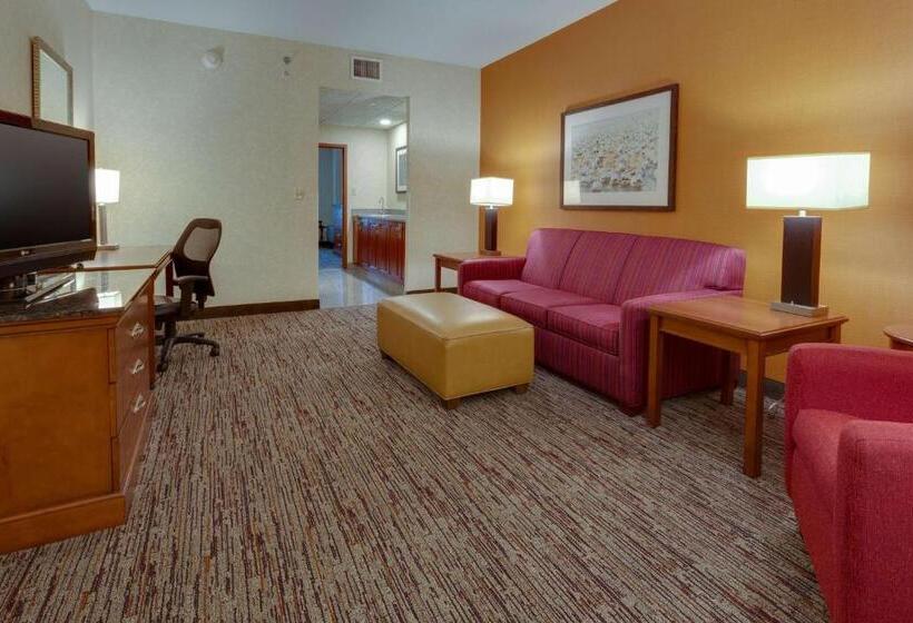 스위트 킹사이즈 침대, Drury Inn & Suites Baton Rouge
