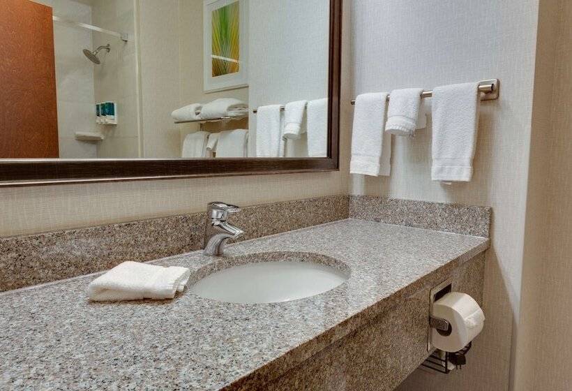 豪华房间, Drury Inn & Suites Baton Rouge