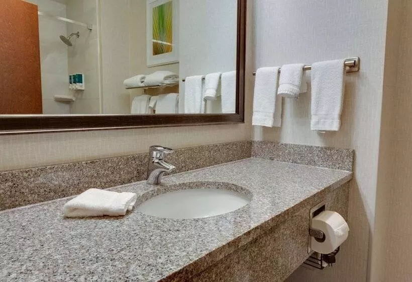 デラックスルーム, Drury Inn & Suites Baton Rouge
