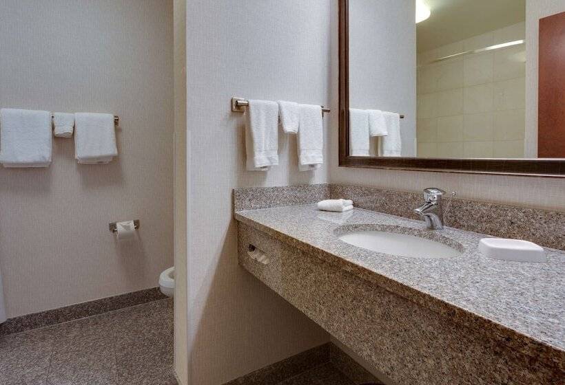 장애인용 디럭스룸, Drury Inn & Suites Baton Rouge