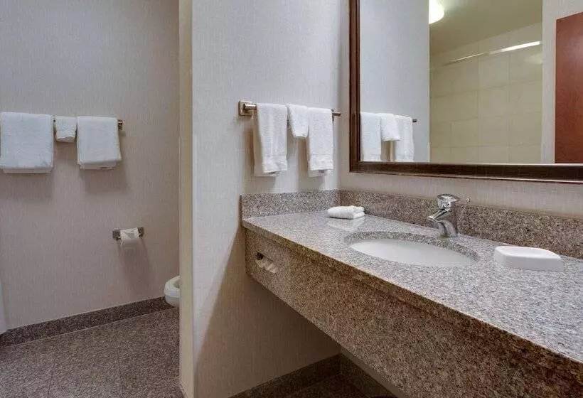 障害者適応デラックスルーム, Drury Inn & Suites Baton Rouge