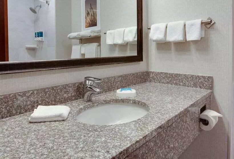 Sviitti, Drury Inn & Suites West Des Moines