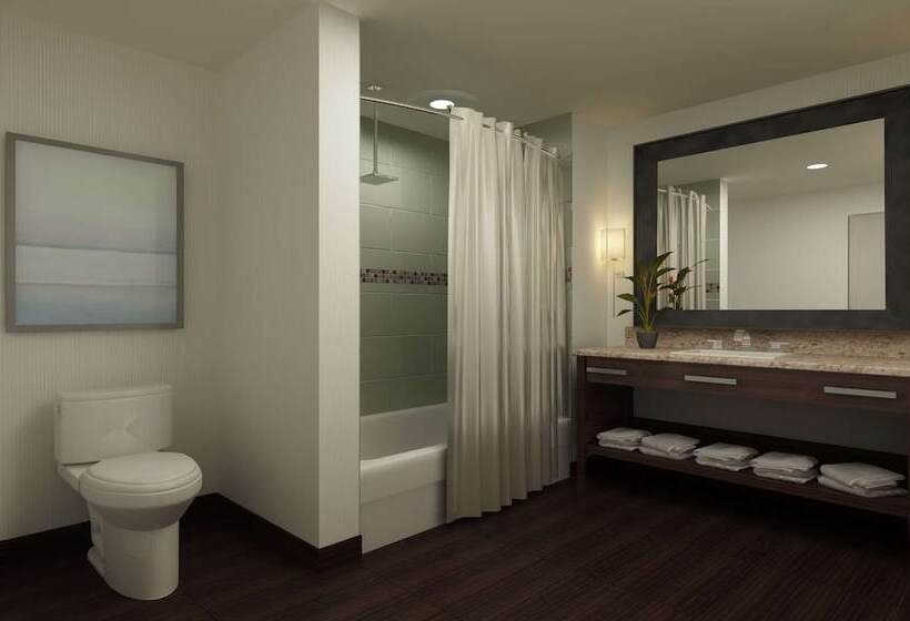 سوییت, Embassy Suites By Hilton Fayetteville Fort Liberty