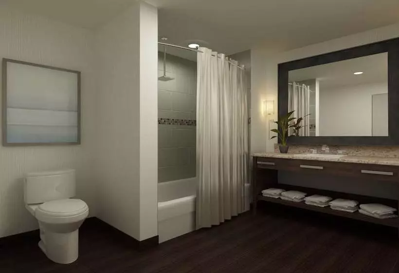 スイート, Embassy Suites By Hilton Fayetteville Fort Liberty