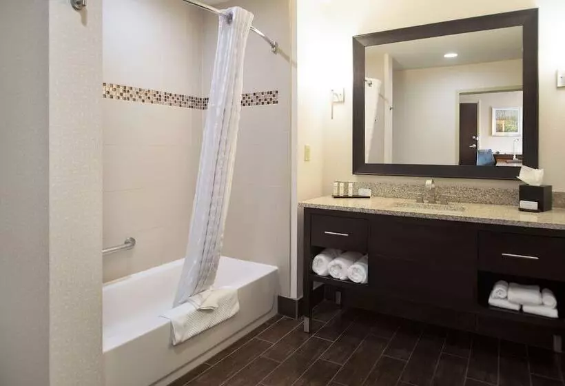 スイート, Embassy Suites By Hilton Fayetteville Fort Liberty