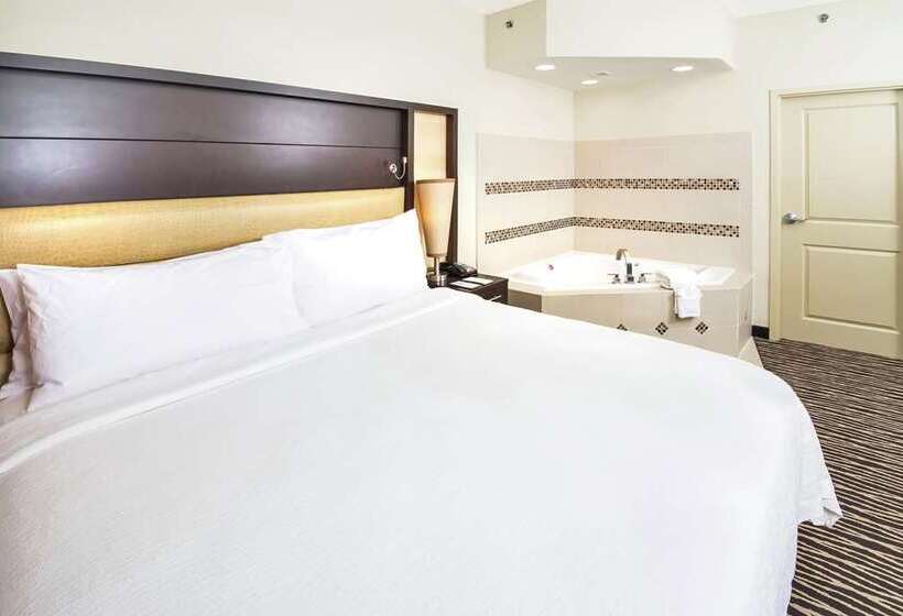 اتاق استاندارد با تخت بزرگ, Embassy Suites By Hilton Fayetteville Fort Liberty