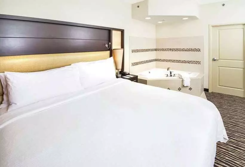 キングサイズベッドのスタンダードルーム, Embassy Suites By Hilton Fayetteville Fort Liberty