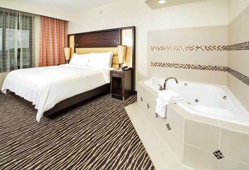 اتاق استاندارد با تخت بزرگ, Embassy Suites By Hilton Fayetteville Fort Liberty