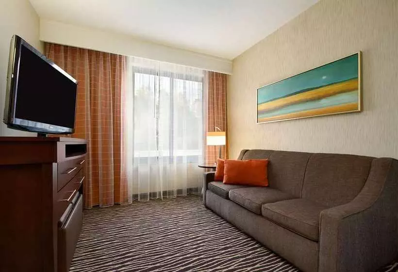 キングサイズベッドのスタンダードルーム, Embassy Suites By Hilton Fayetteville Fort Liberty