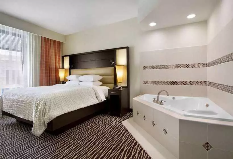 キングサイズベッドのスタンダードルーム, Embassy Suites By Hilton Fayetteville Fort Liberty